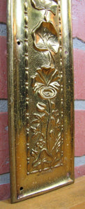 Art Nouveau Repousse Floral Stems Old Brass Door Push Plate Ornate High Relief