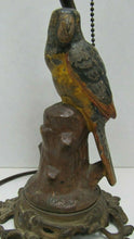 Load image into Gallery viewer, PARROT ON STUMP Antique Cast Iron Decorative Art Lamp htf unique old bird light
