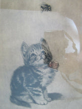 Load image into Gallery viewer, Old Artwork &#39;Bumble Bee&#39; Kitten watching Bee Meta Pluckebaum ? print etch framed
