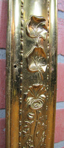 Art Nouveau Repousse Floral Stems Old Brass Door Push Plate Ornate High Relief
