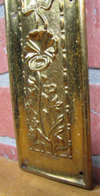 Load image into Gallery viewer, Art Nouveau Repousse Floral Stems Old Brass Door Push Plate Ornate High Relief
