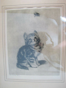 Old Artwork 'Bumble Bee' Kitten watching Bee Meta Pluckebaum ? print etch framed